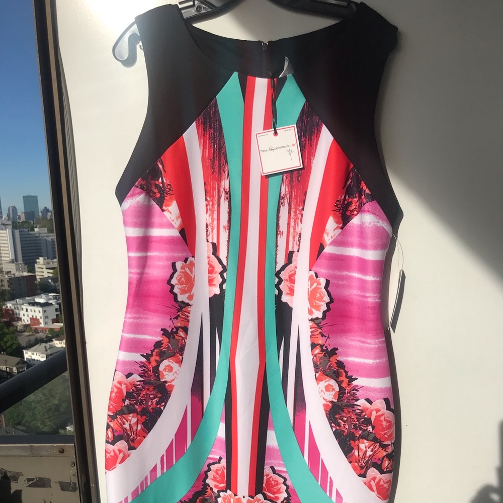 Bisou Bisou BNWT sleeveless dress